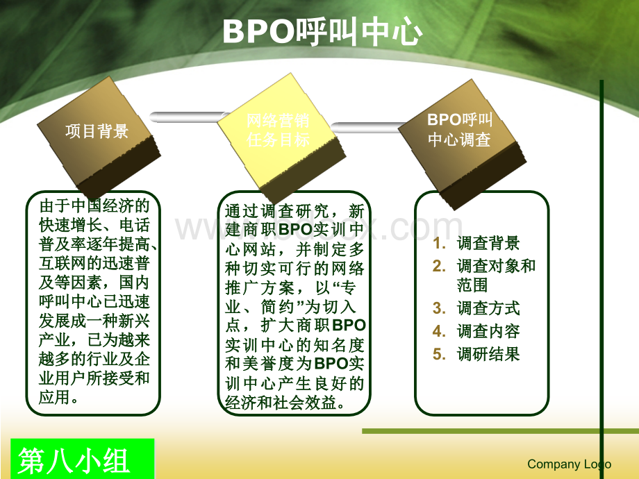 玩转空间---BPO网络营销策划.ppt_第3页