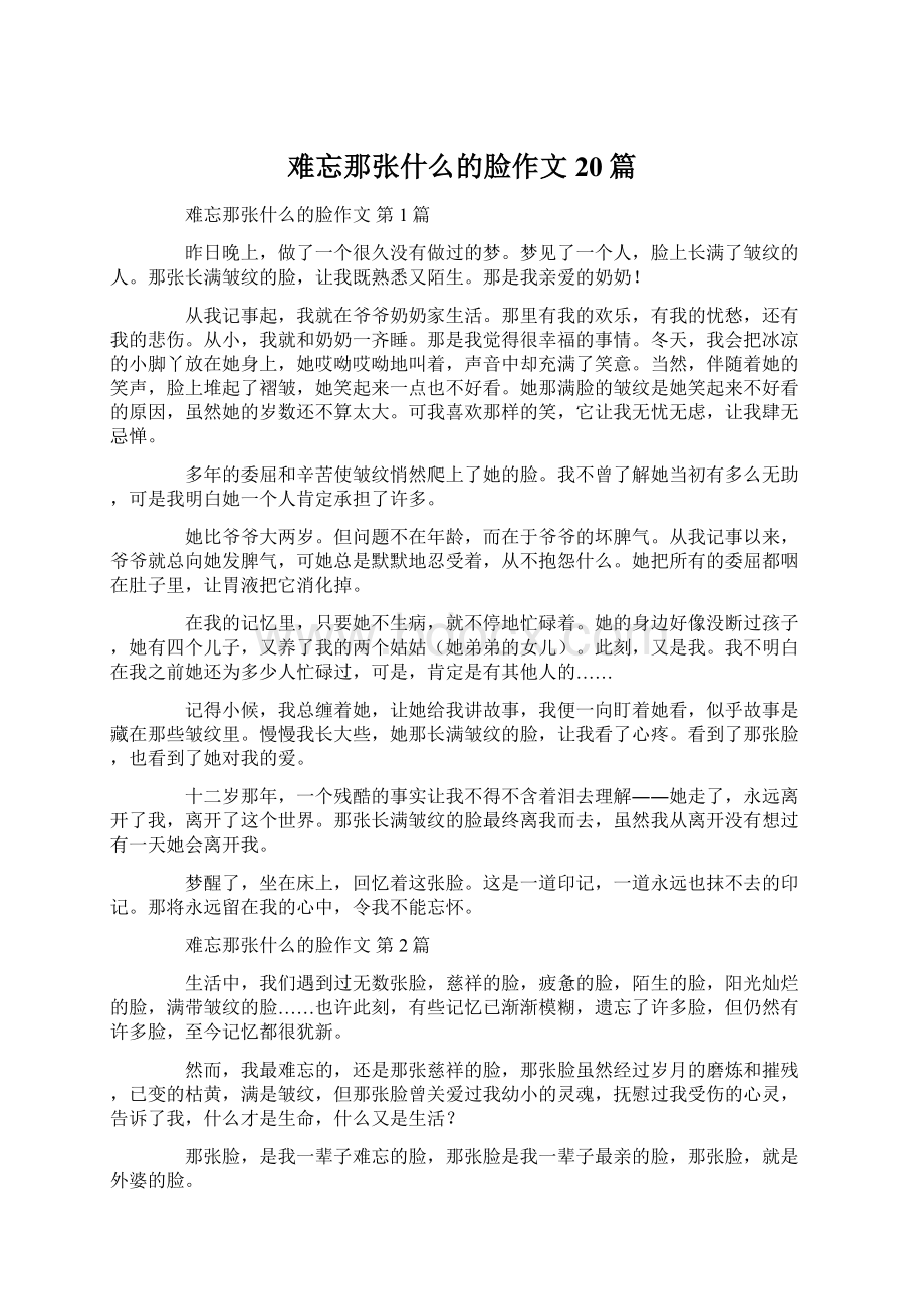 难忘那张什么的脸作文20篇.docx