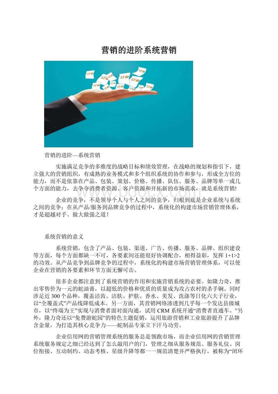 营销的进阶系统营销文档格式.docx