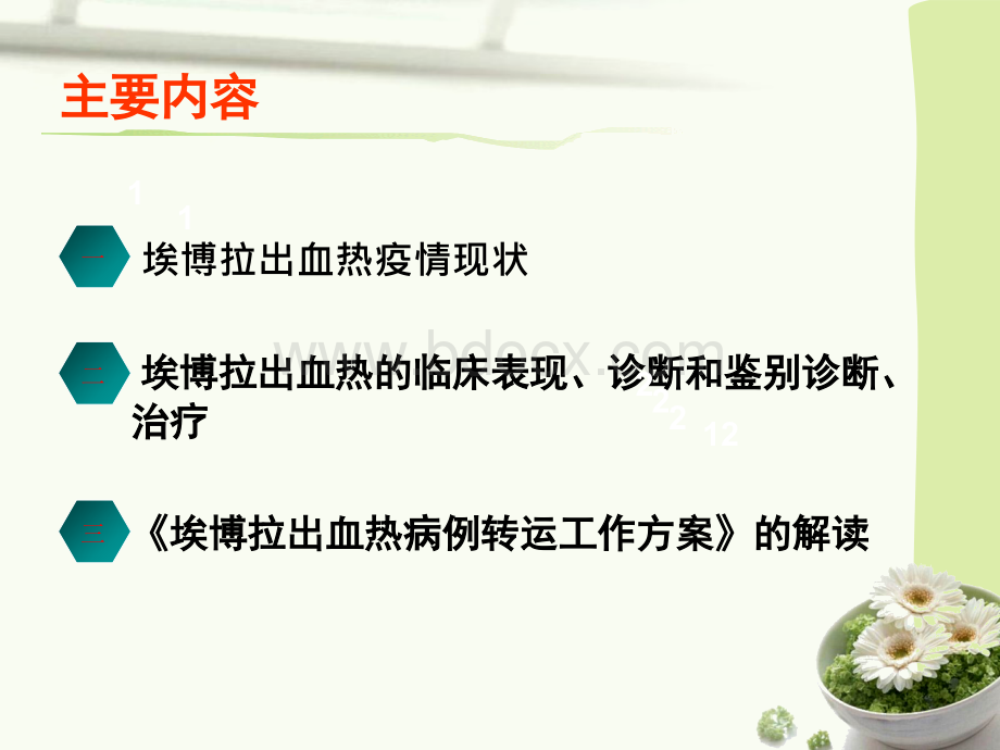 埃博拉出血热病例救治与急救转运优质PPT.ppt_第2页