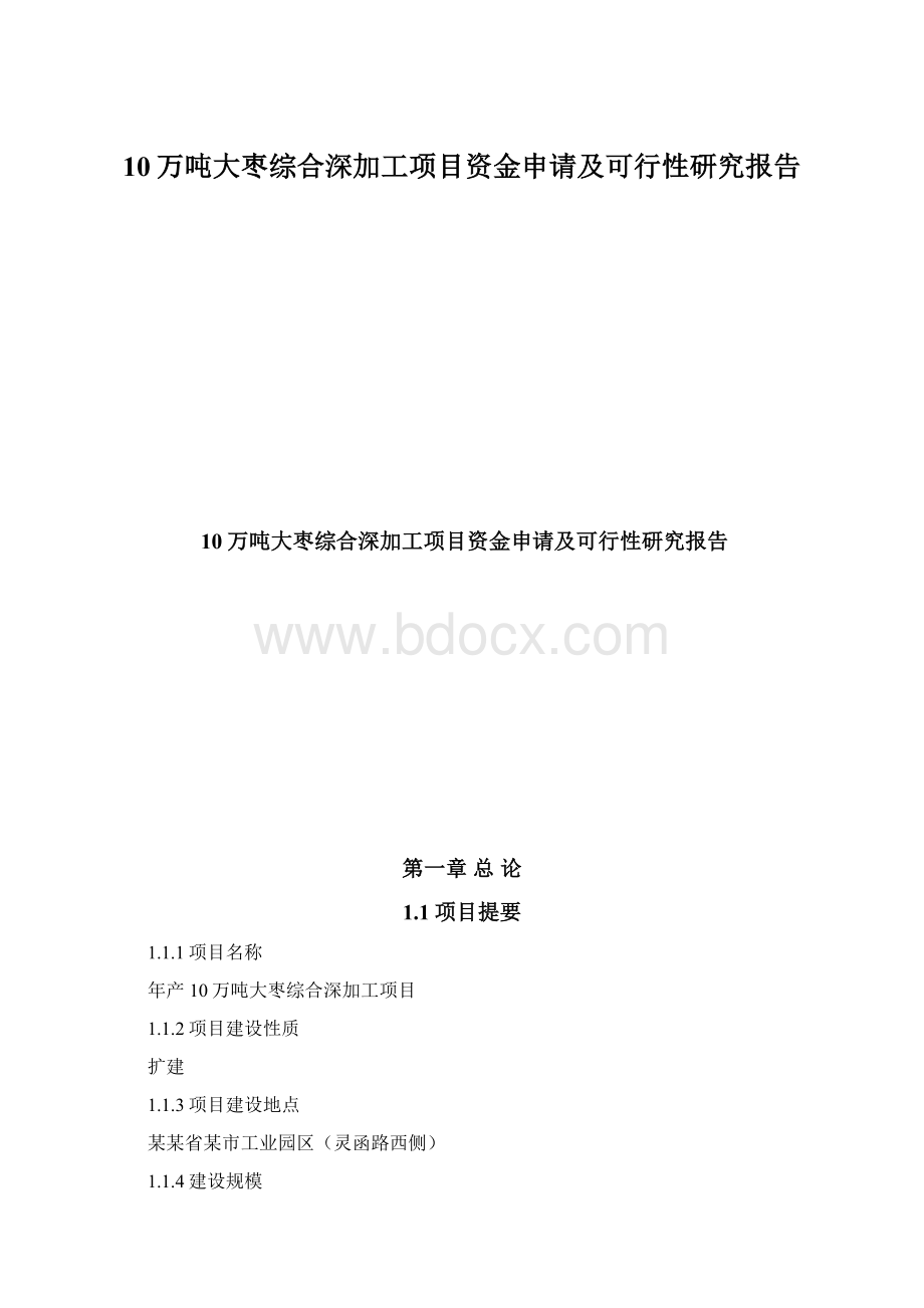 10万吨大枣综合深加工项目资金申请及可行性研究报告Word文档格式.docx_第1页