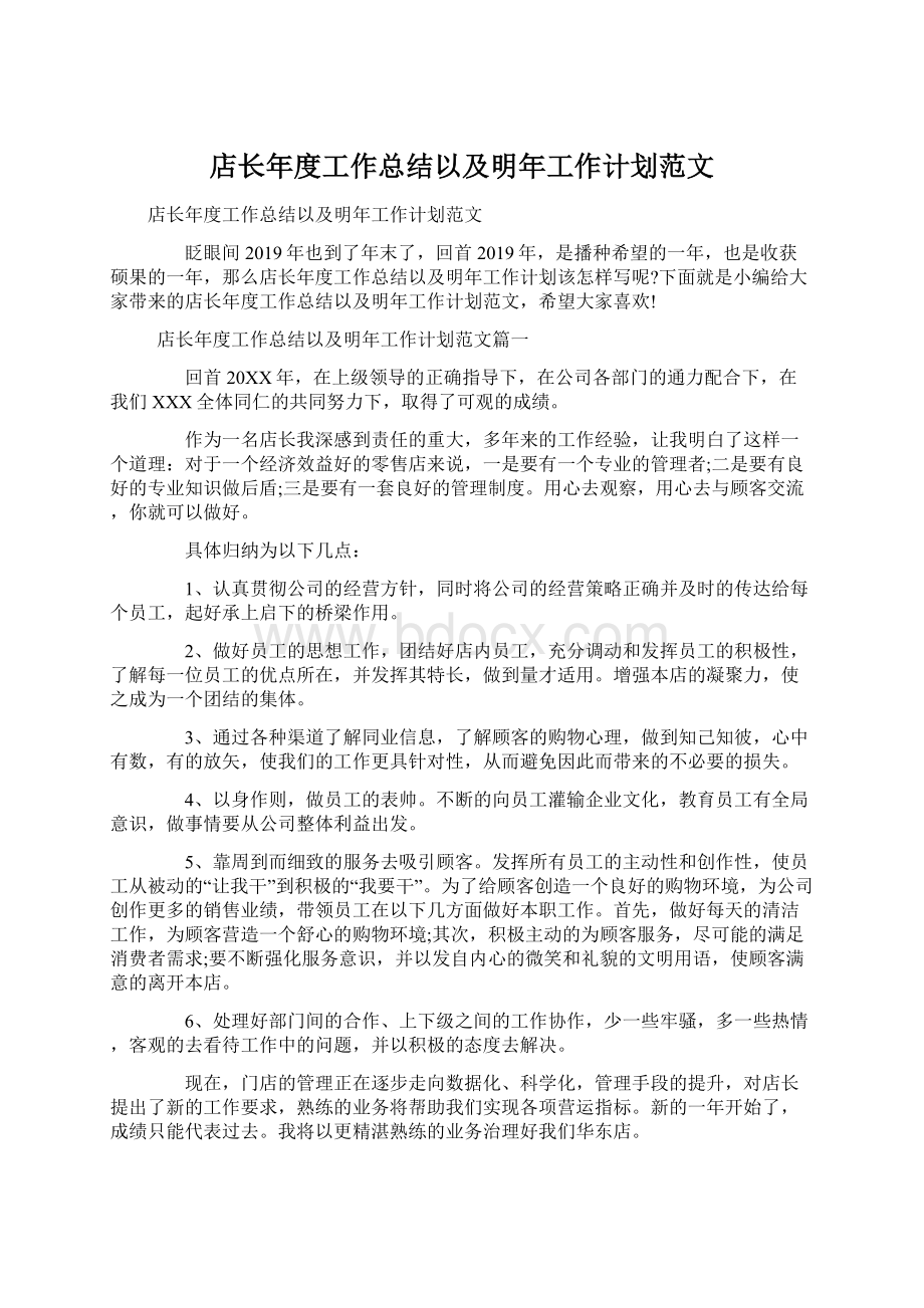 店长年度工作总结以及明年工作计划范文.docx