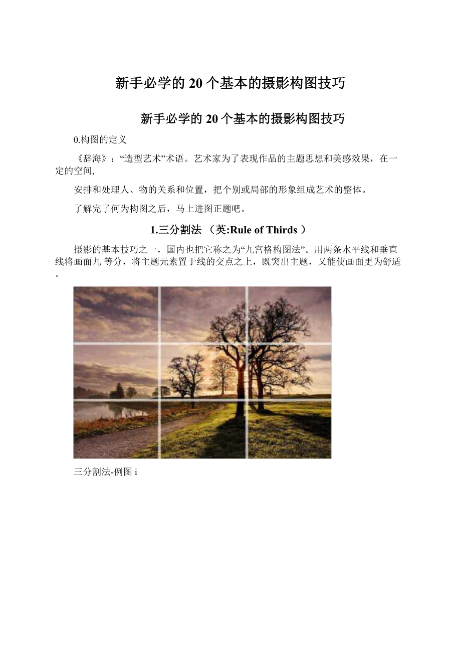 新手必学的20个基本的摄影构图技巧Word格式文档下载.docx_第1页