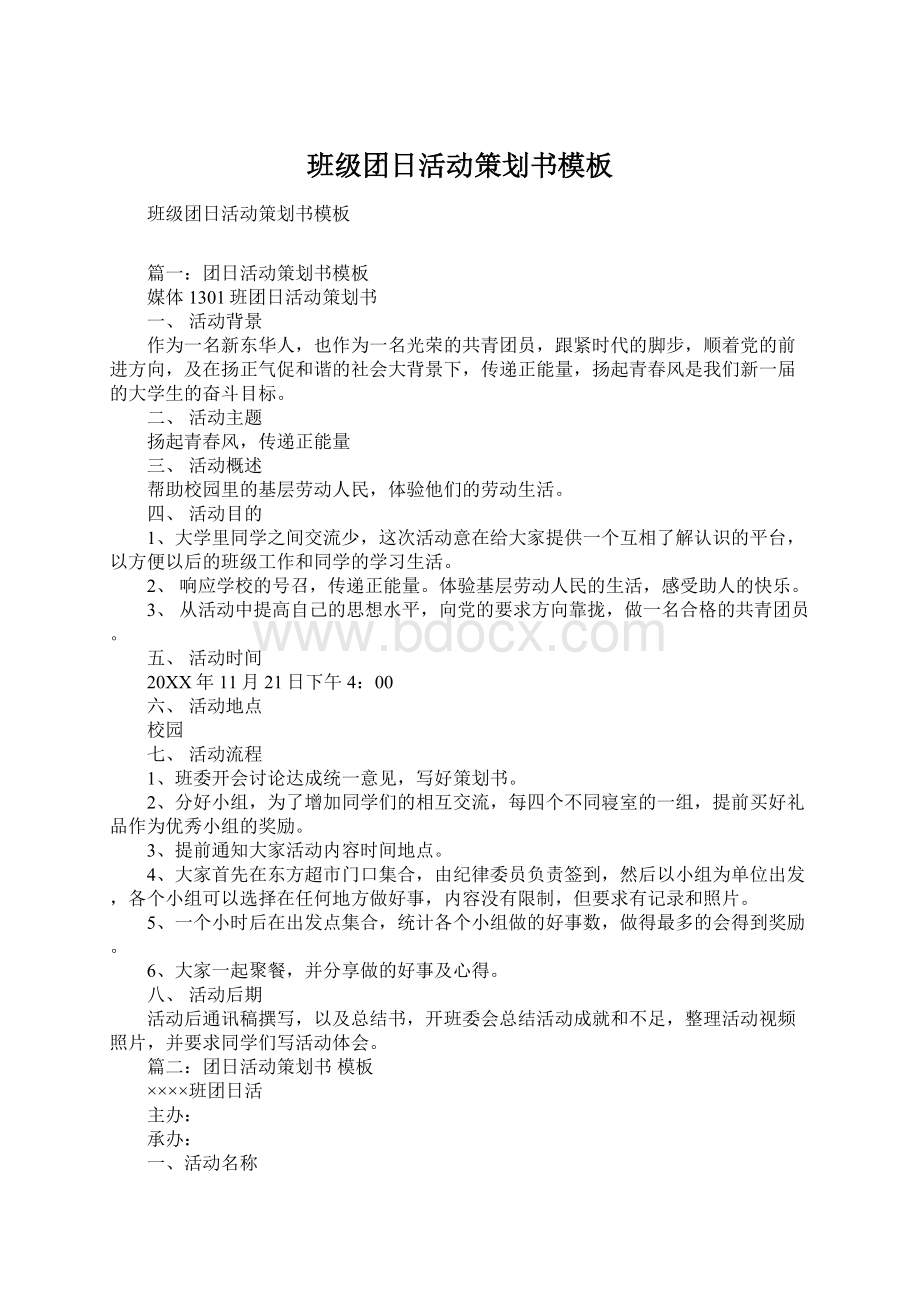 班级团日活动策划书模板文档格式.docx