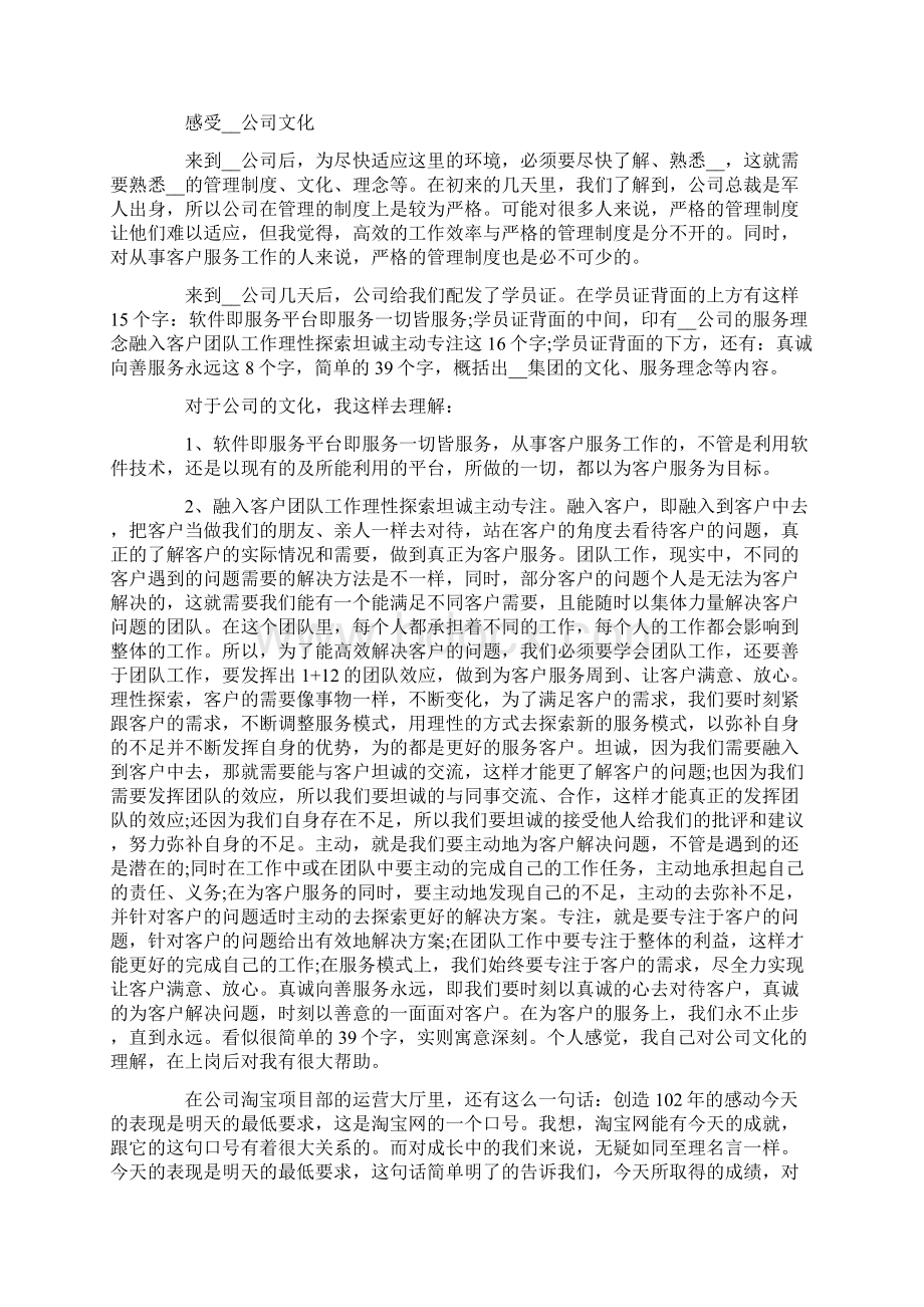 电子商务专业实习报告.docx_第2页