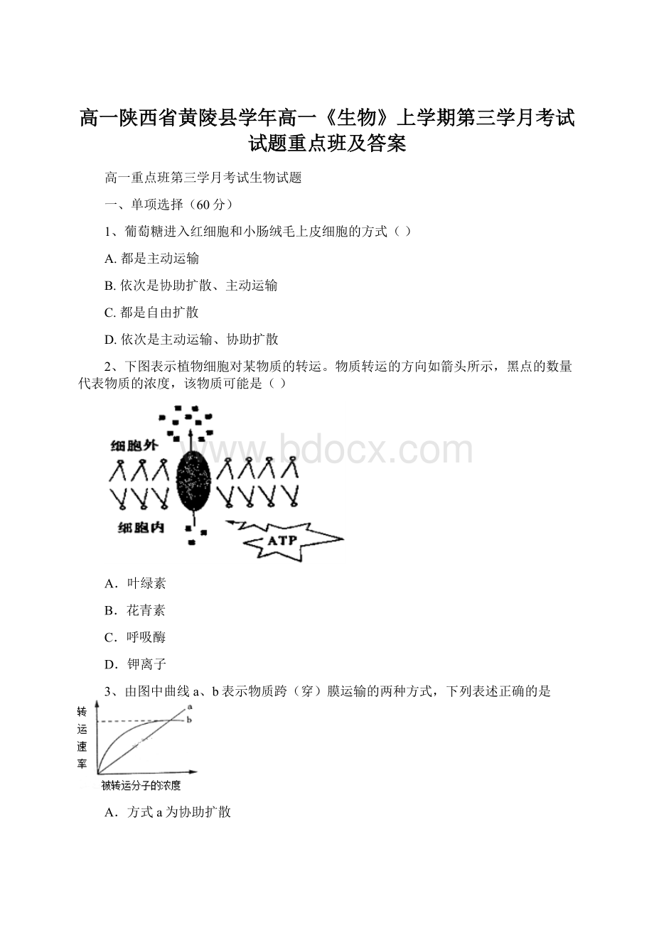 高一陕西省黄陵县学年高一《生物》上学期第三学月考试试题重点班及答案.docx