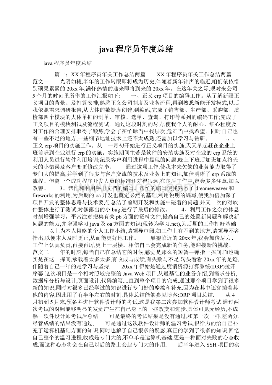 java程序员年度总结.docx