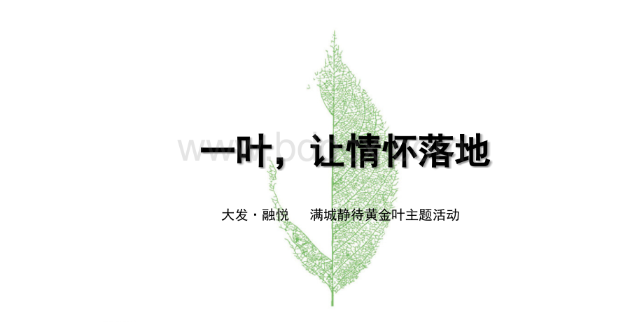 大发融悦商业街示范区公开活动策划方案.pptx