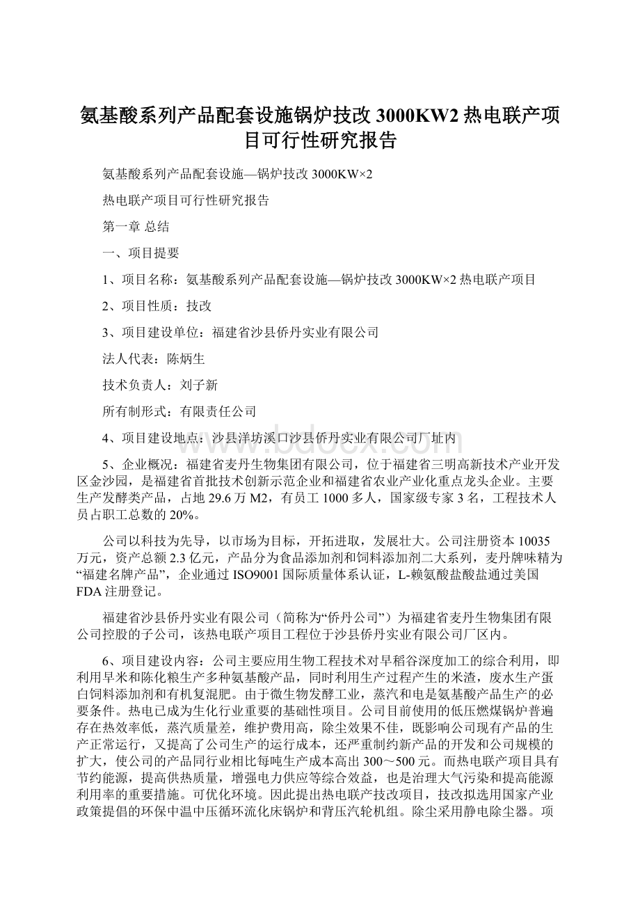 氨基酸系列产品配套设施锅炉技改3000KW2热电联产项目可行性研究报告.docx