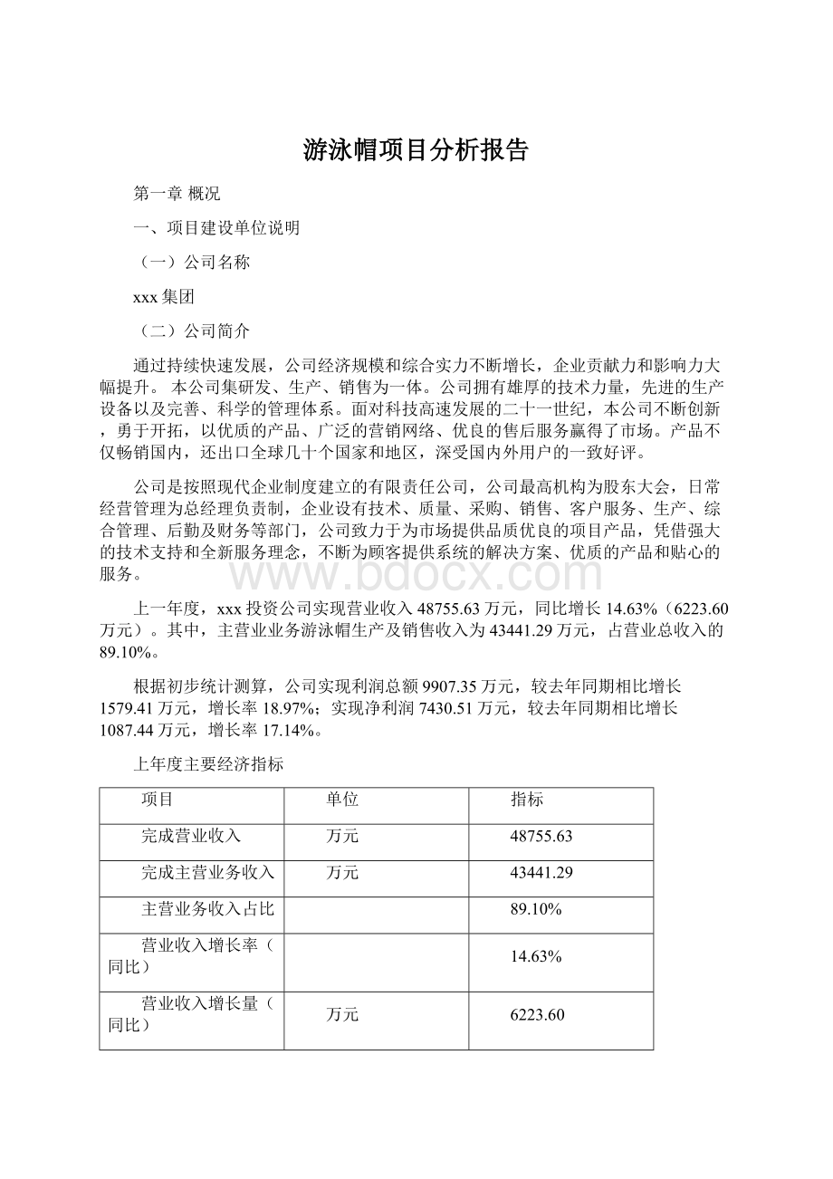 游泳帽项目分析报告.docx