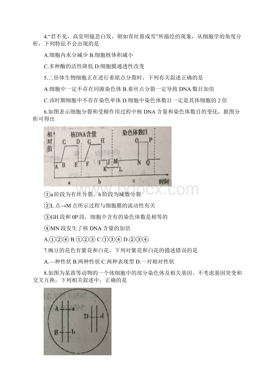 学年高一生物下学期期末考试试题文档格式.docx_第2页