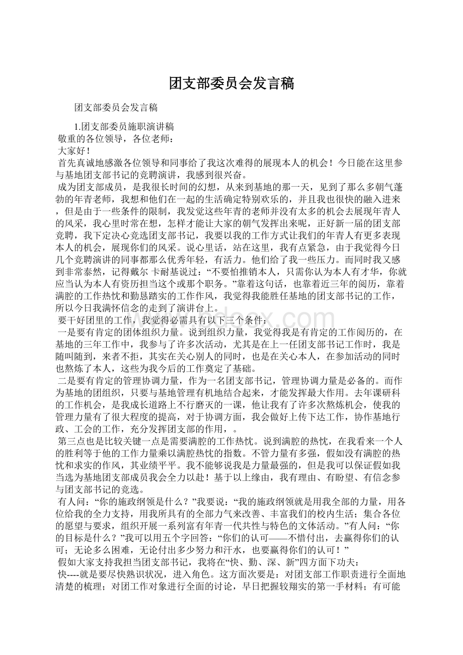 团支部委员会发言稿.docx