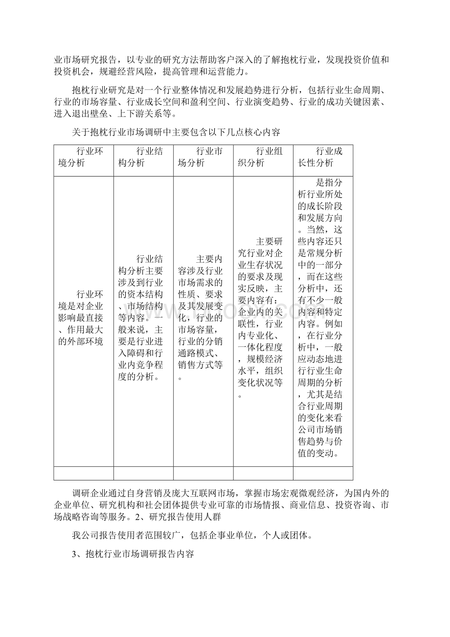 中国抱枕产业专项调研及未来五年发展策略研究报告.docx_第2页