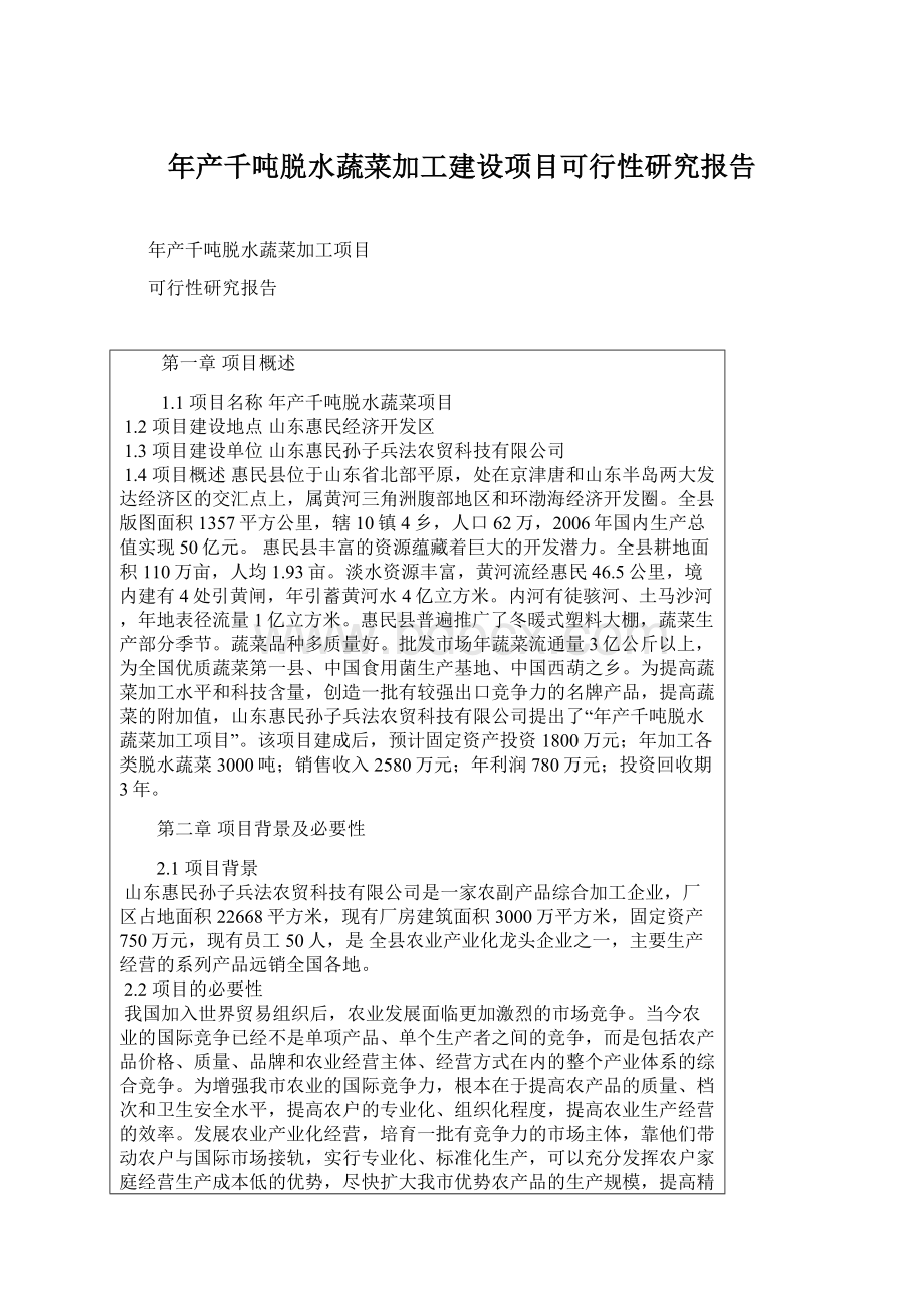 年产千吨脱水蔬菜加工建设项目可行性研究报告文档格式.docx