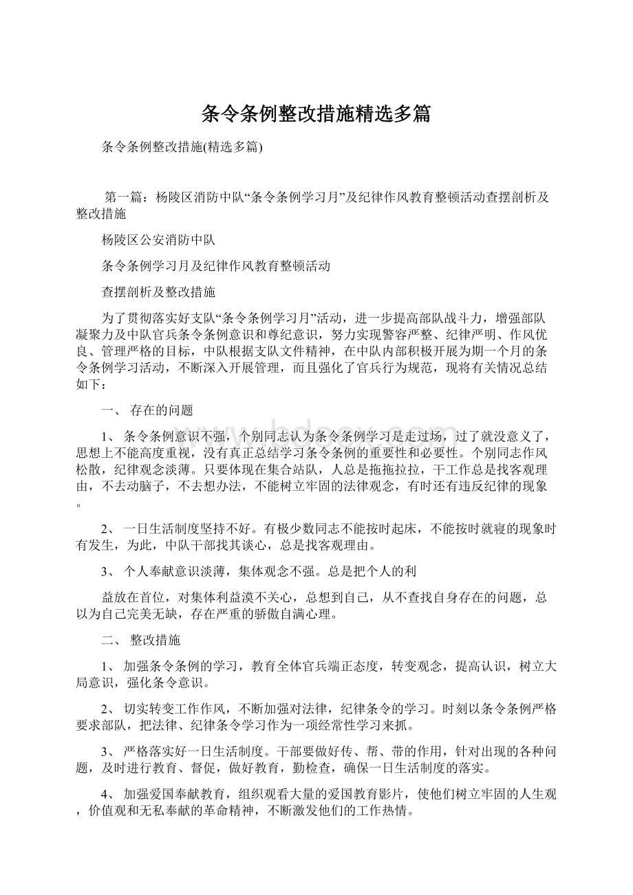 条令条例整改措施精选多篇Word格式文档下载.docx_第1页