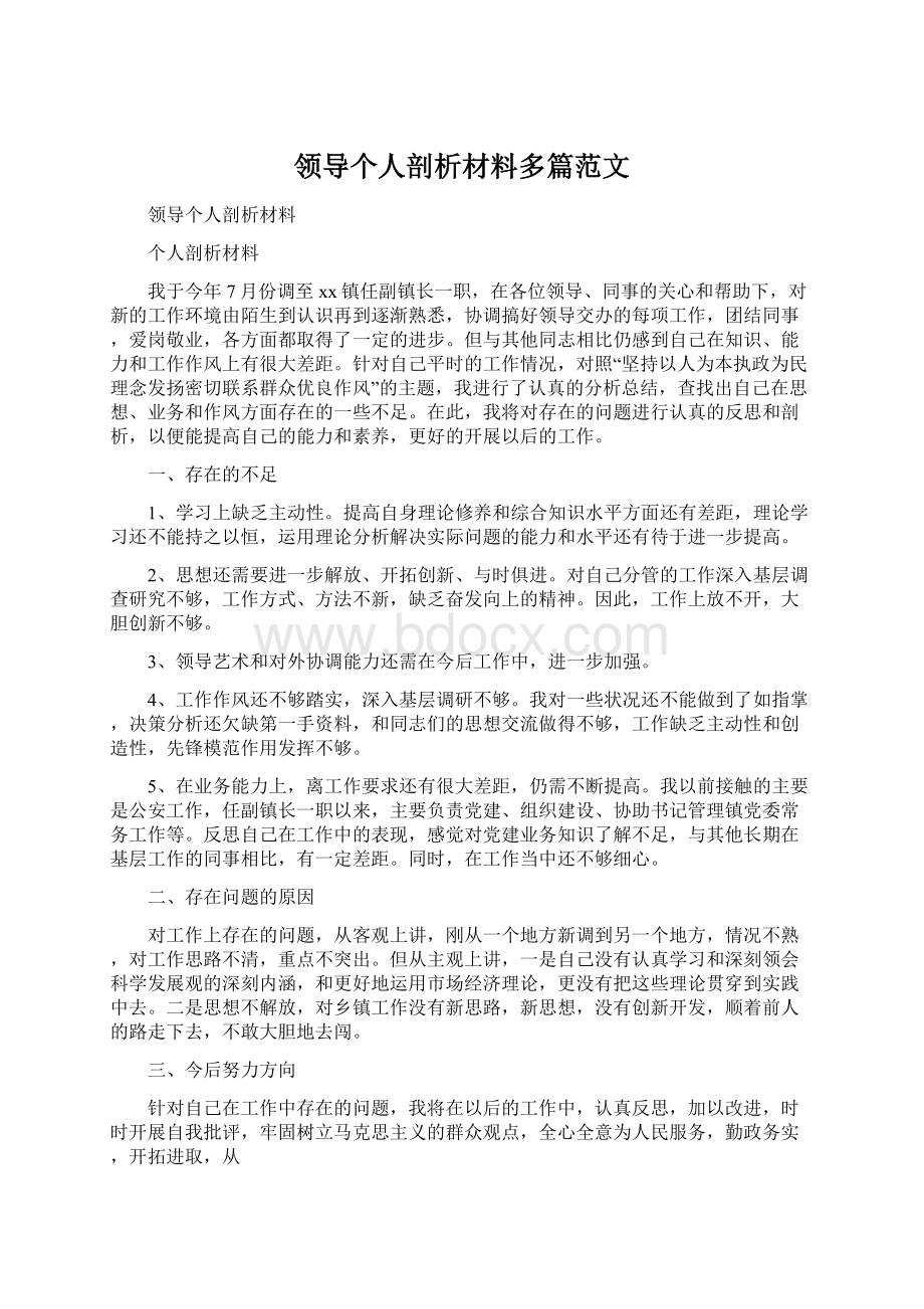 领导个人剖析材料多篇范文.docx_第1页