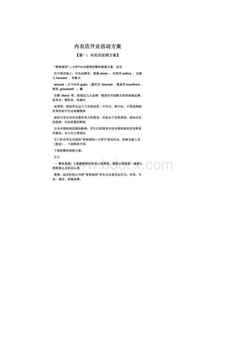 内衣店开业活动方案Word文档下载推荐.docx_第2页