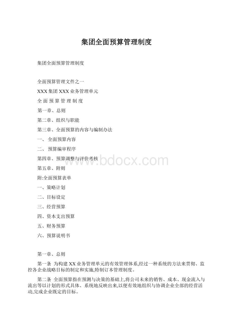 集团全面预算管理制度.docx_第1页