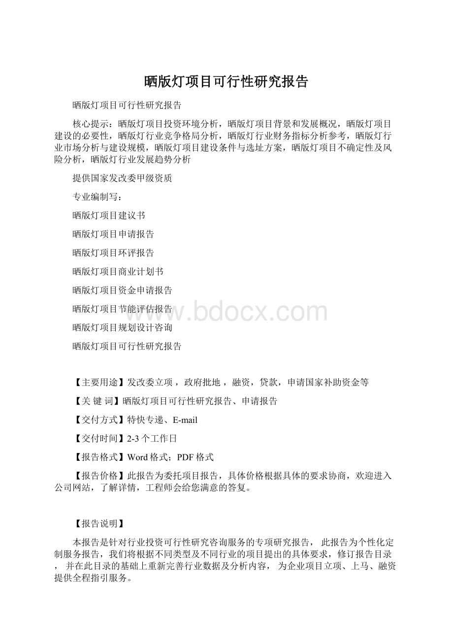 晒版灯项目可行性研究报告.docx