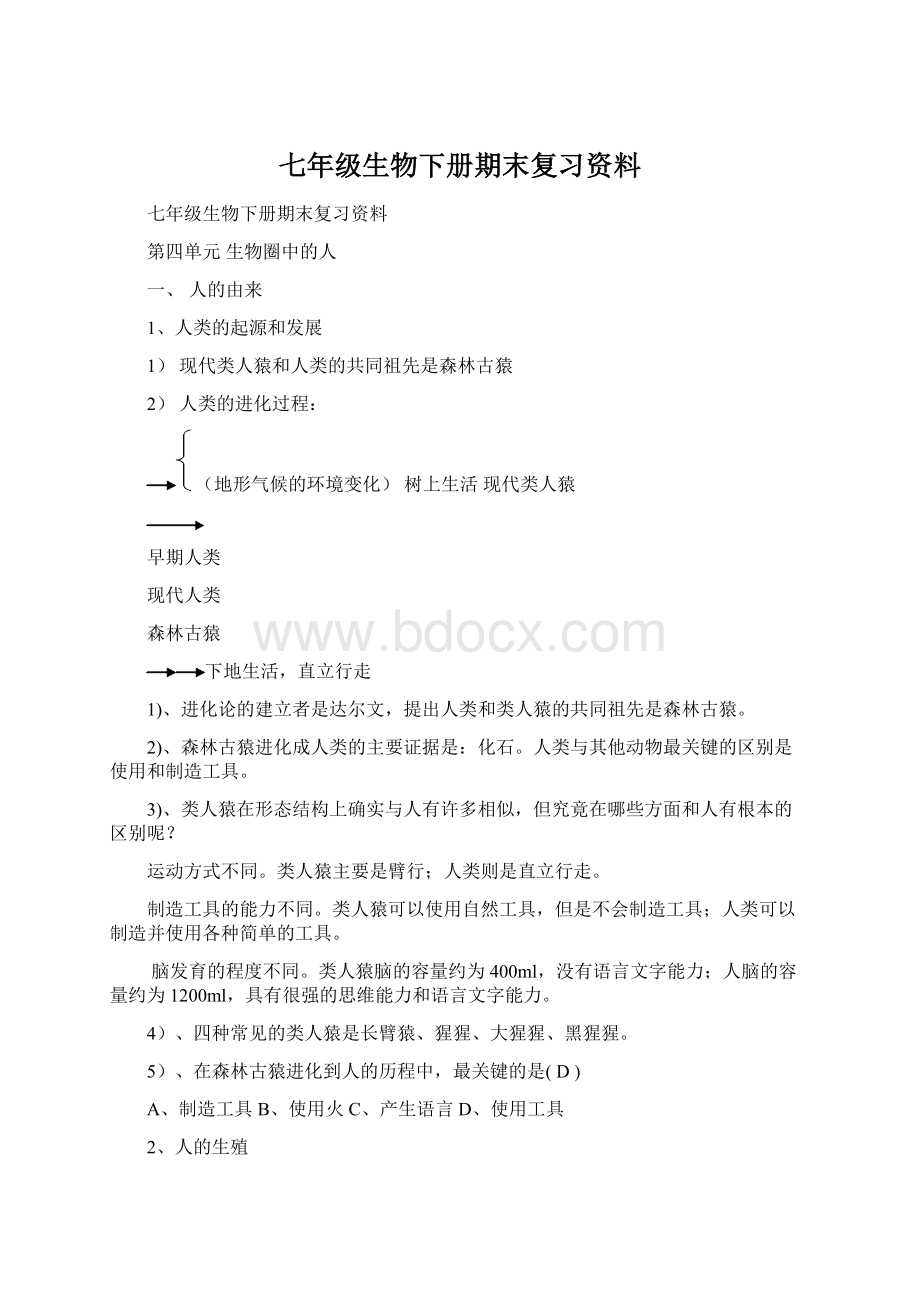 七年级生物下册期末复习资料.docx_第1页