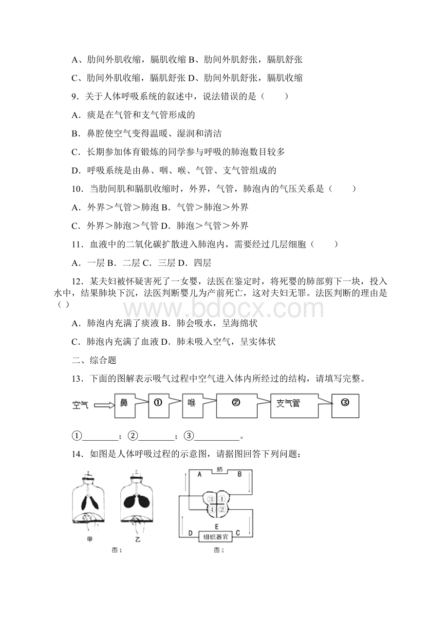 学年苏教版七年级下册生物第十章第四节人体内的气体交换同步测试Word下载.docx_第3页