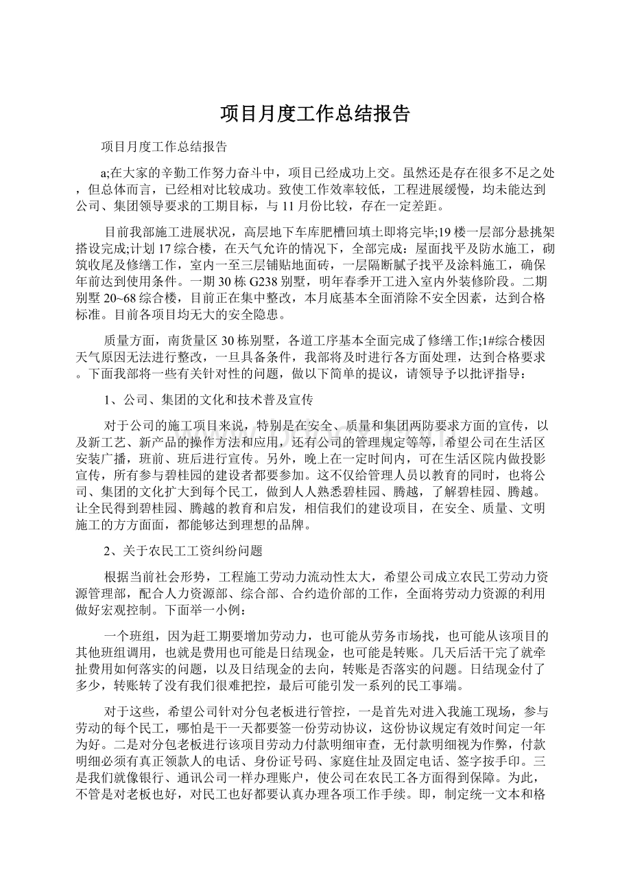 项目月度工作总结报告Word下载.docx