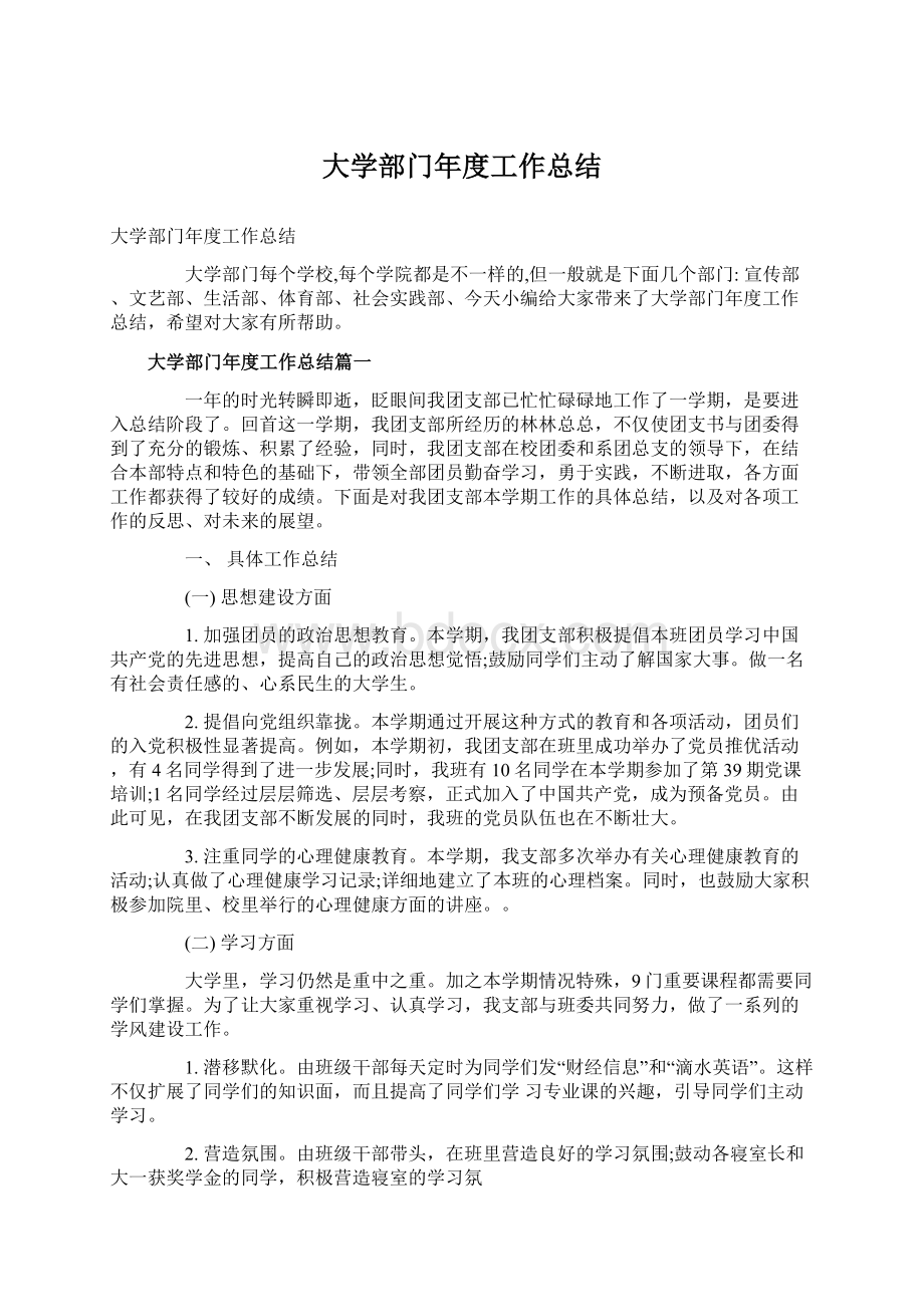 大学部门年度工作总结.docx