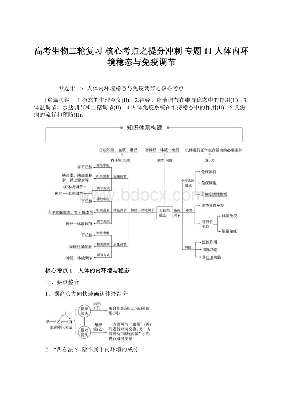 高考生物二轮复习 核心考点之提分冲刺 专题11 人体内环境稳态与免疫调节Word文档下载推荐.docx_第1页