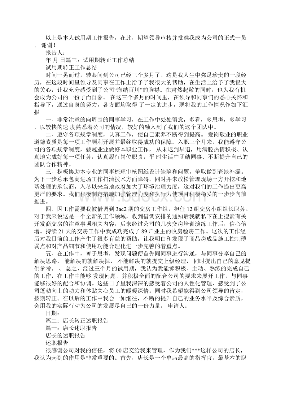 店长试用期转正工作总结.docx_第3页