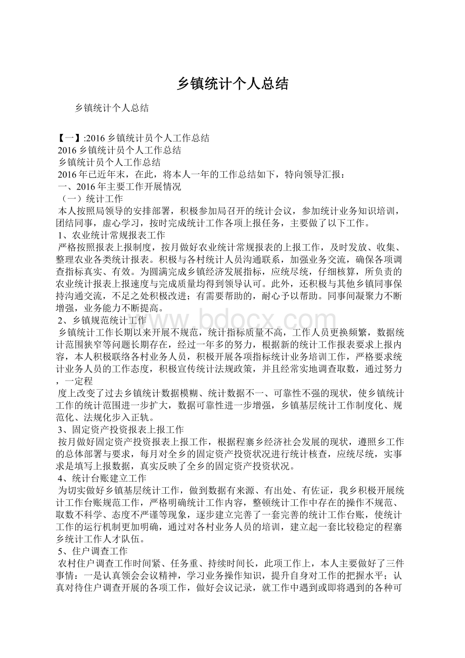 乡镇统计个人总结Word文档下载推荐.docx