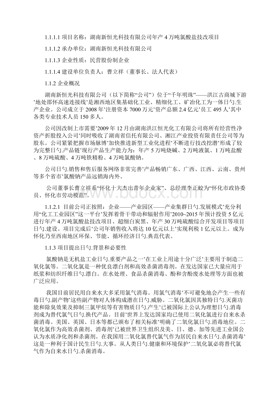 4万吨氯酸盐技改工程项目建设可行性研究报告文档格式.docx_第2页