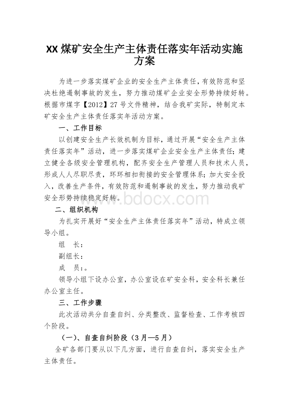 XX煤矿安全生产主体责任落实年活动实施方案_精品文档.docx_第1页