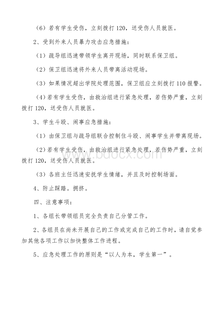 大型活动安全应急预案.doc_第3页