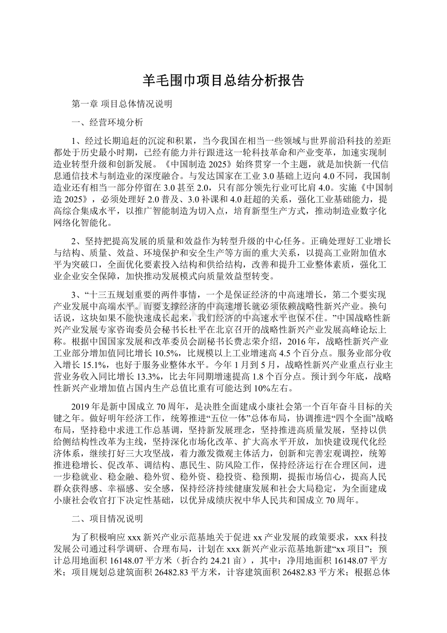 羊毛围巾项目总结分析报告Word格式文档下载.docx