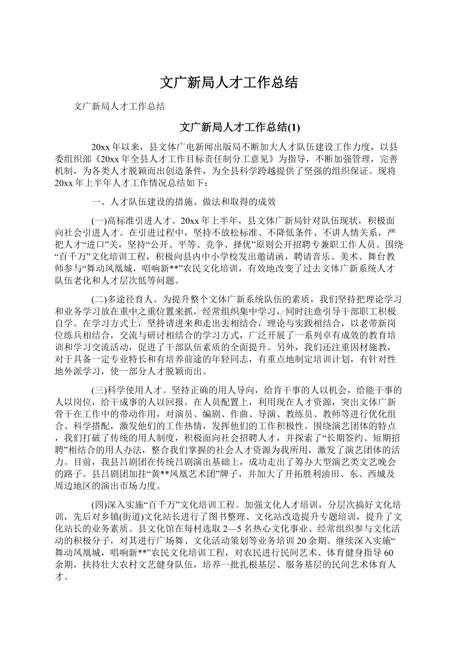 文广新局人才工作总结.docx