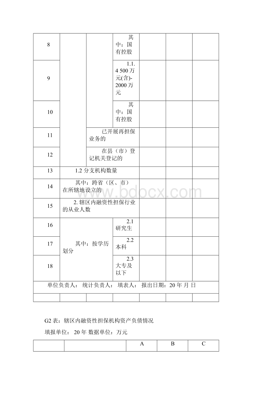 融资性担保行业年度监管报告统计报表汇编.docx_第2页