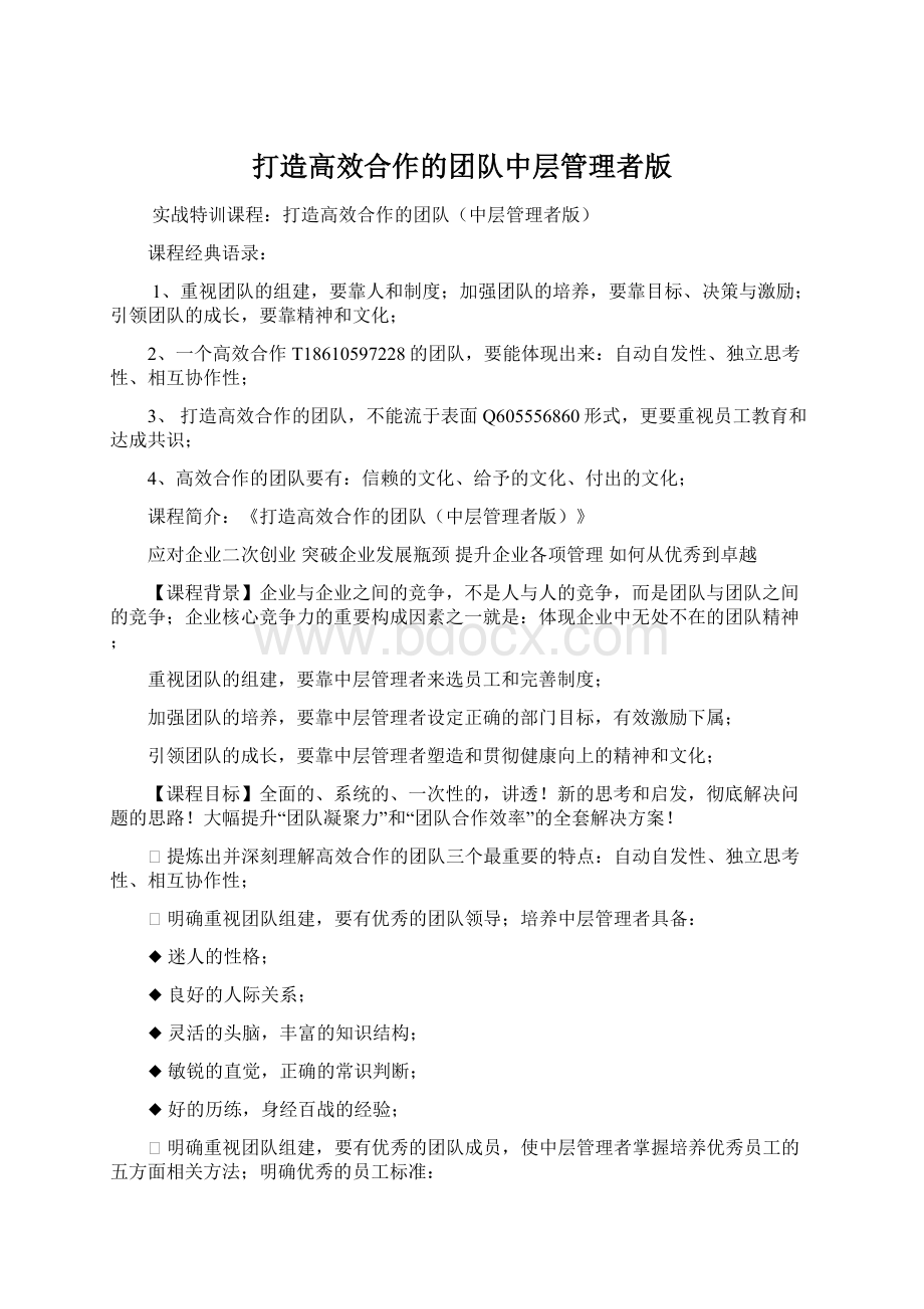 打造高效合作的团队中层管理者版Word文件下载.docx