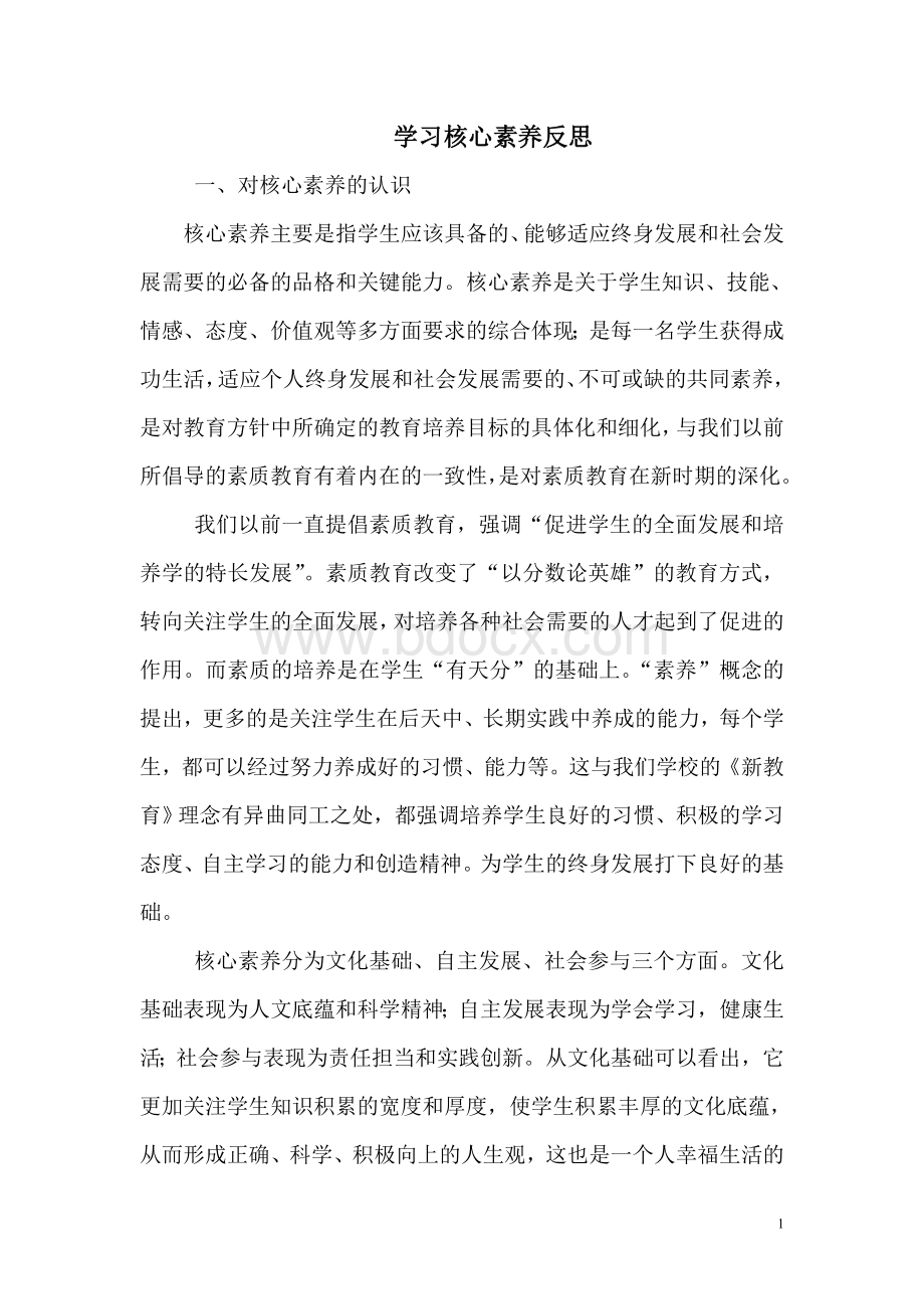 学习核心素养反思文档格式.doc_第1页