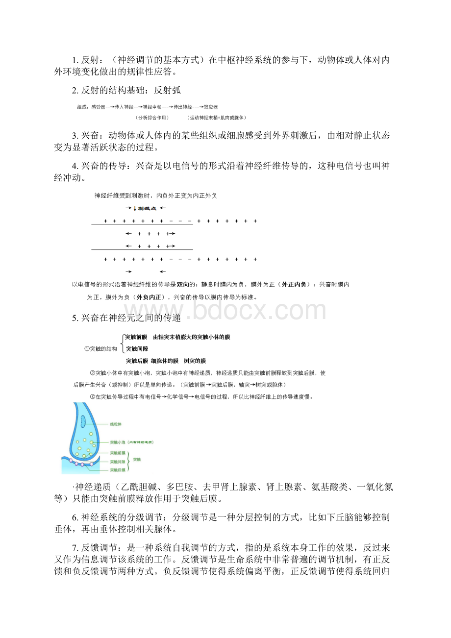 生物必修三必背概念.docx_第2页