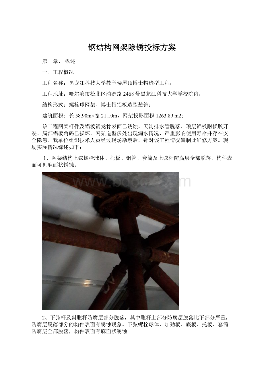 钢结构网架除锈投标方案Word文档下载推荐.docx_第1页