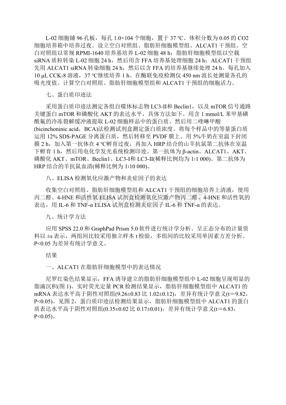 敲减心磷脂酰基转移酶1对肝细胞脂肪变和氧化应激的影响及其机制完整版.docx_第3页