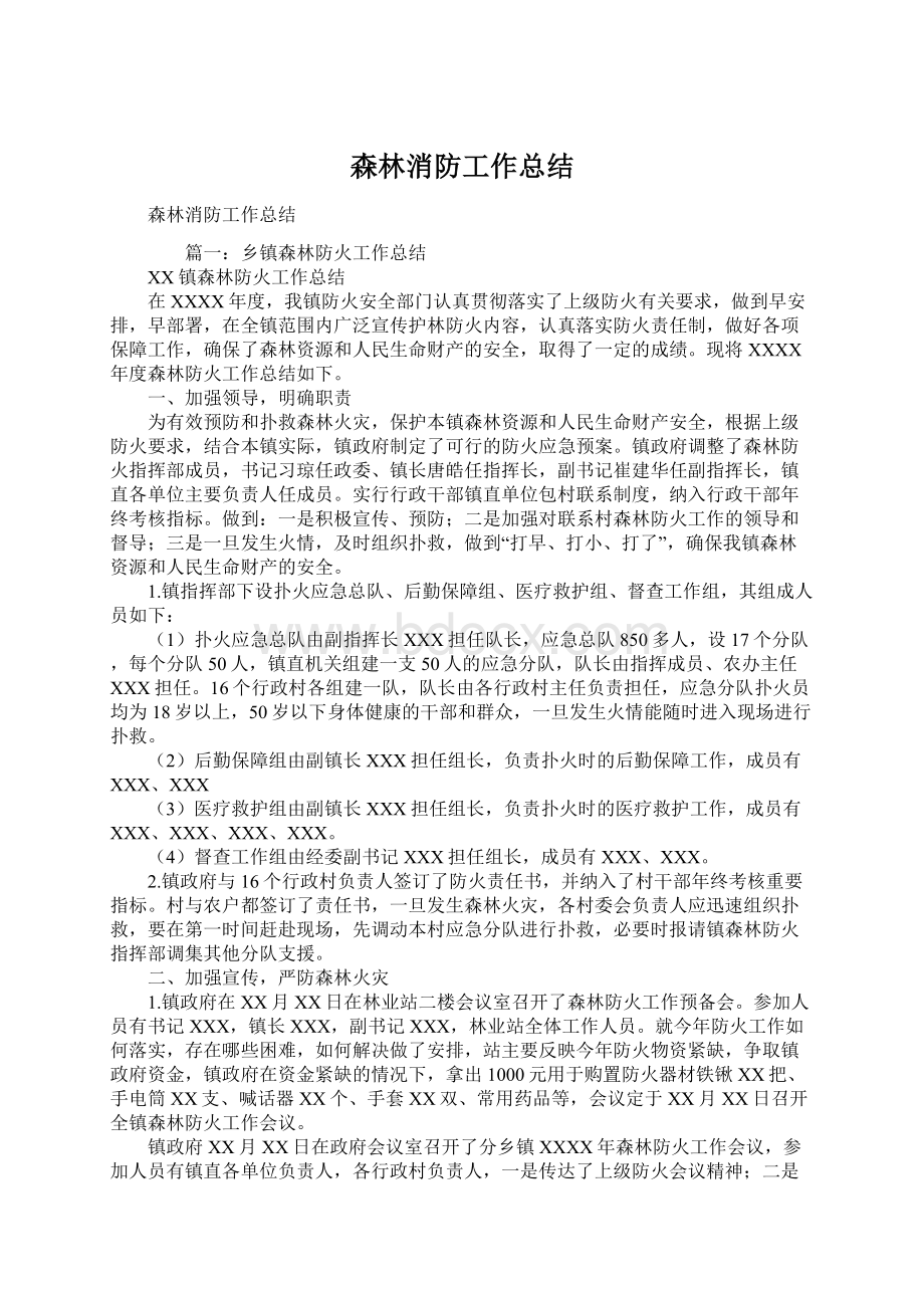 森林消防工作总结Word文档下载推荐.docx