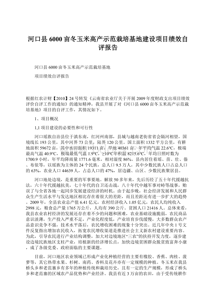 河口县6000亩冬玉米高产示范栽培基地建设项目绩效自评报告.docx_第1页