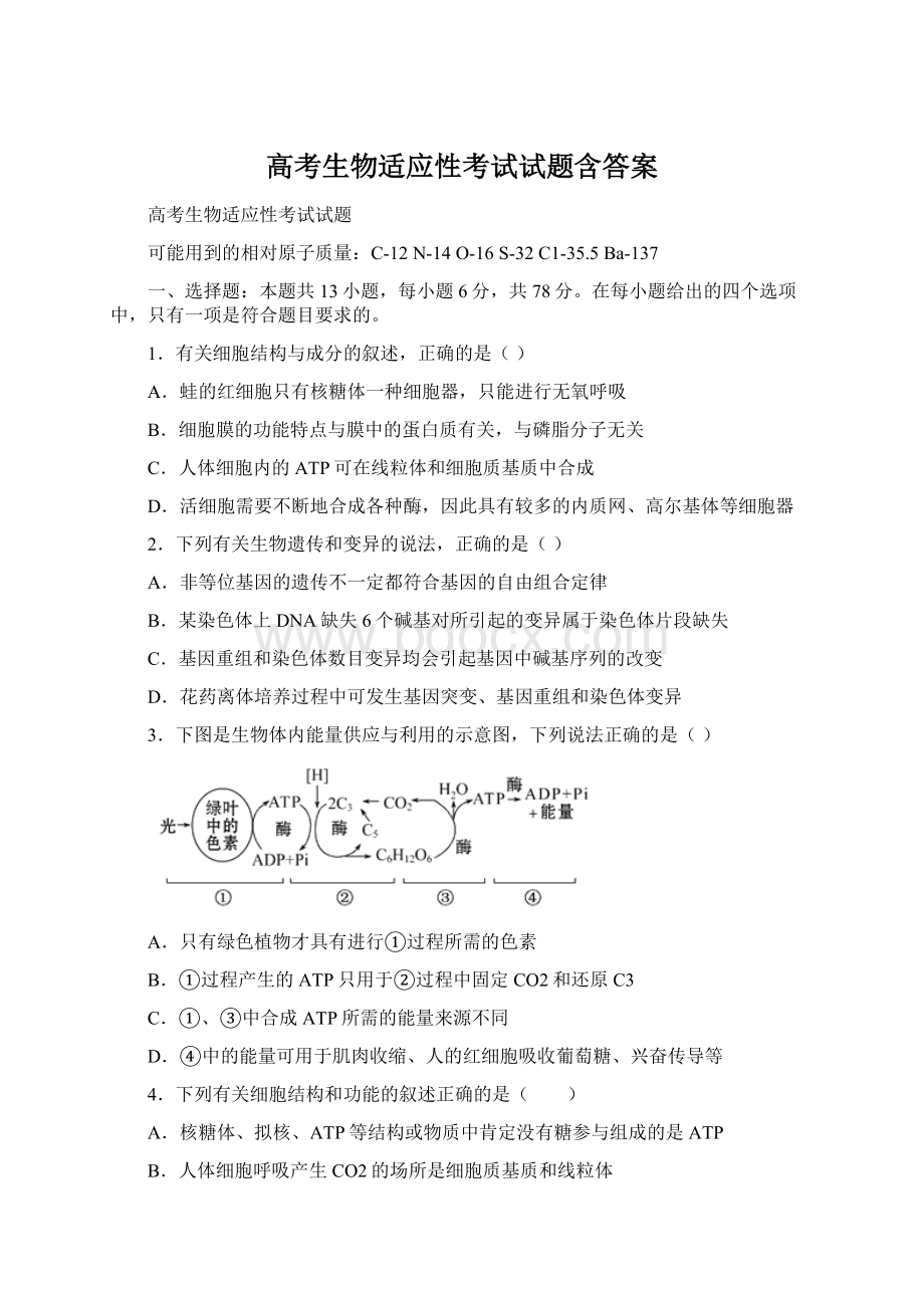 高考生物适应性考试试题含答案Word文档格式.docx_第1页