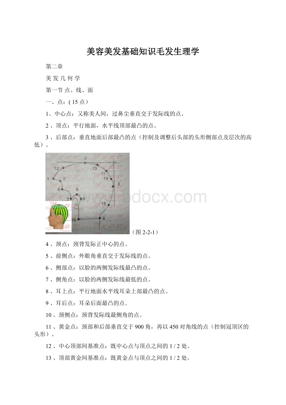 美容美发基础知识毛发生理学Word下载.docx