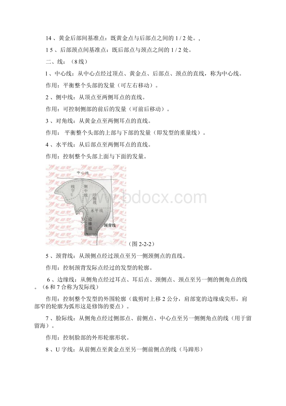 美容美发基础知识毛发生理学.docx_第2页