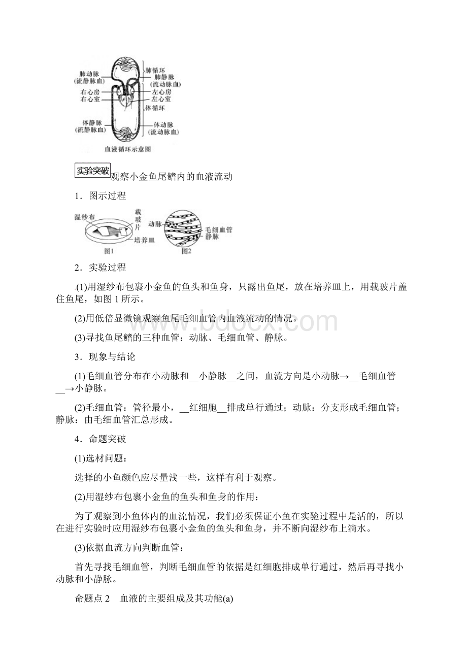 中考科学复习第1部分生命科学第7课时人体的物质和能量转换血液循环和泌尿精讲试题.docx_第3页