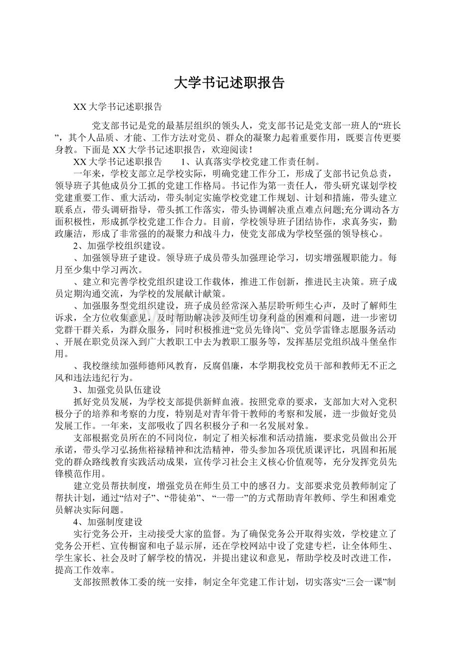 大学书记述职报告Word文档格式.docx