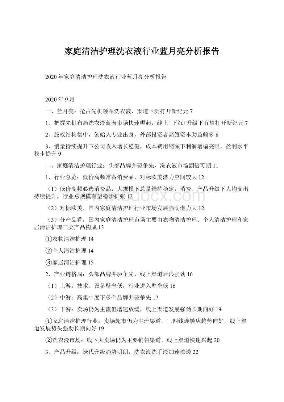 家庭清洁护理洗衣液行业蓝月亮分析报告.docx_第1页