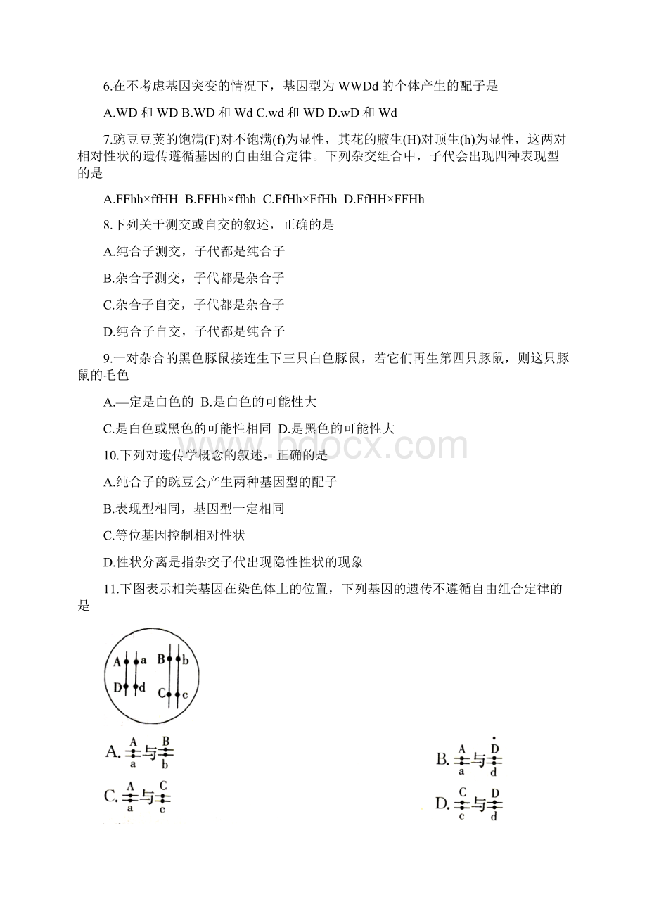 河北省邢台市学年高一生物下学期期末考试试题Word下载.docx_第2页